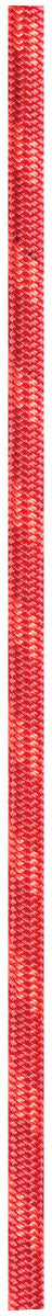 Wall Cruiser 9.6 Mm X30 M Orange