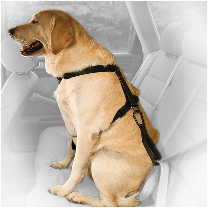 Kurgo Direct Seat Belt Tether