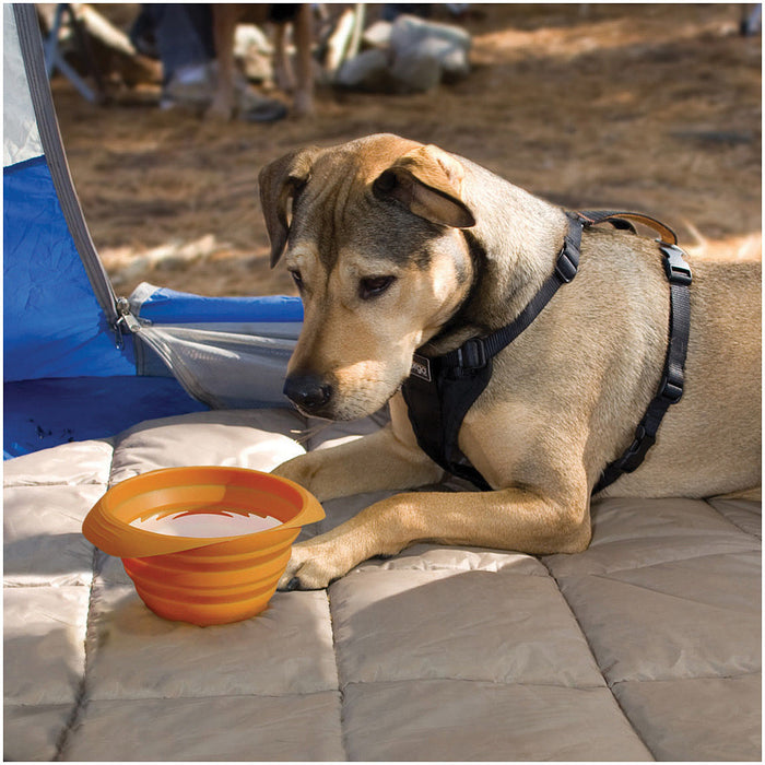 Kurgo Collaps A Bowl Orange