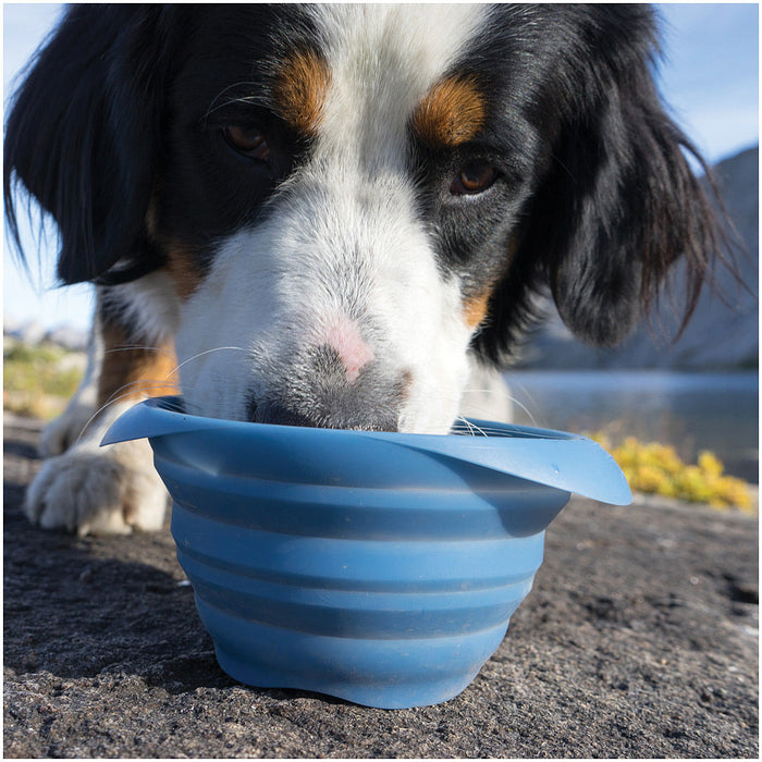 Kurgo Collaps A Bowl Blue