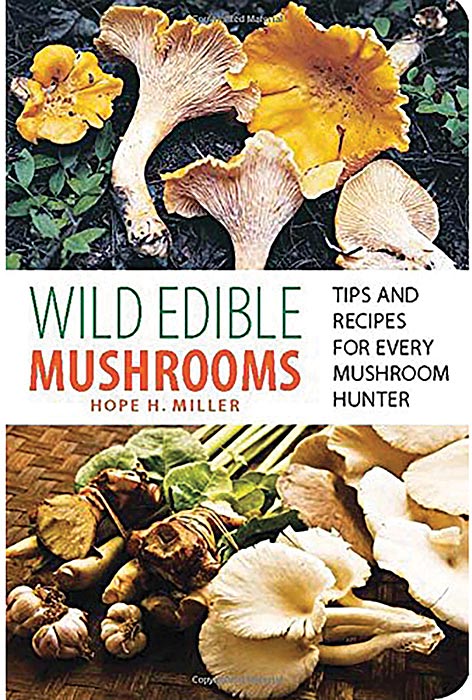 Wild Edible Mushrooms