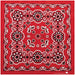 Te X As Paisley Bandana Red