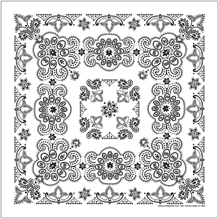 Te X As Paisley Bandana White