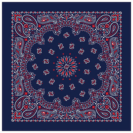 Bandana Paisley Blue/Red