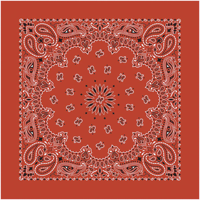 Bandana Paisley Terracotta