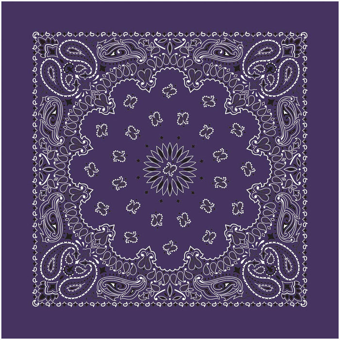 Bandana Paisley Plum