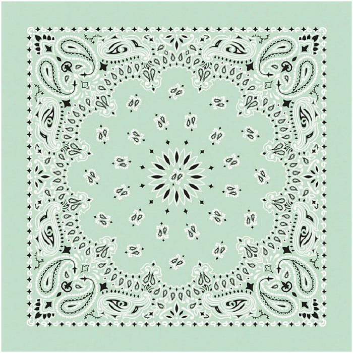 Bandana Paisley Mint