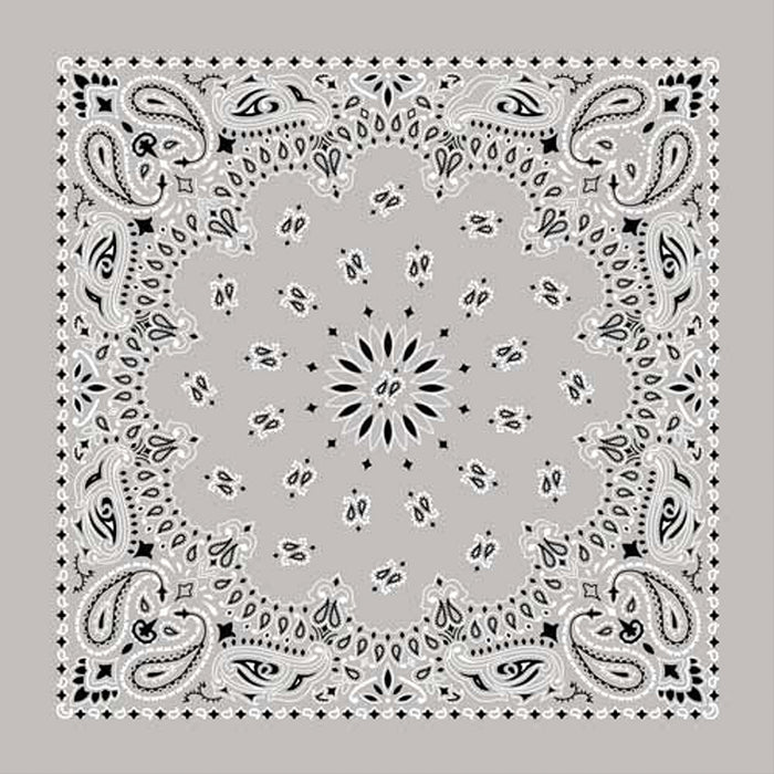 Bandana Paisley Silver