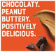 Clif Nut Butter Choc/P.B. Bar