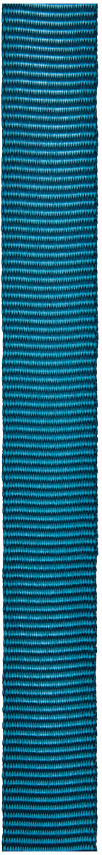 1"X300' Teal Tube Webbing