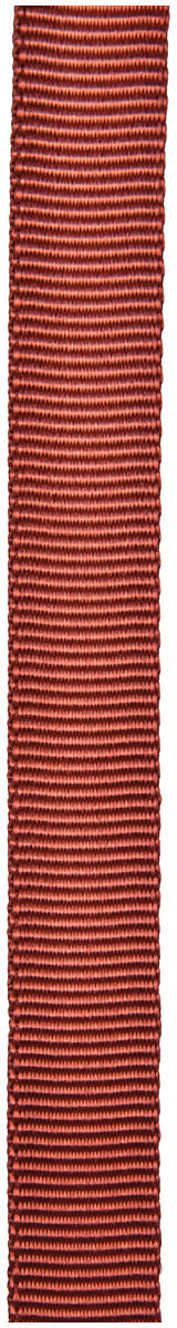 1"X300' Rust Tube Webbing