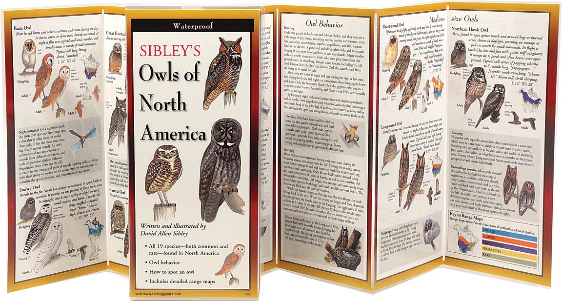 Sibley's Owls Of North America