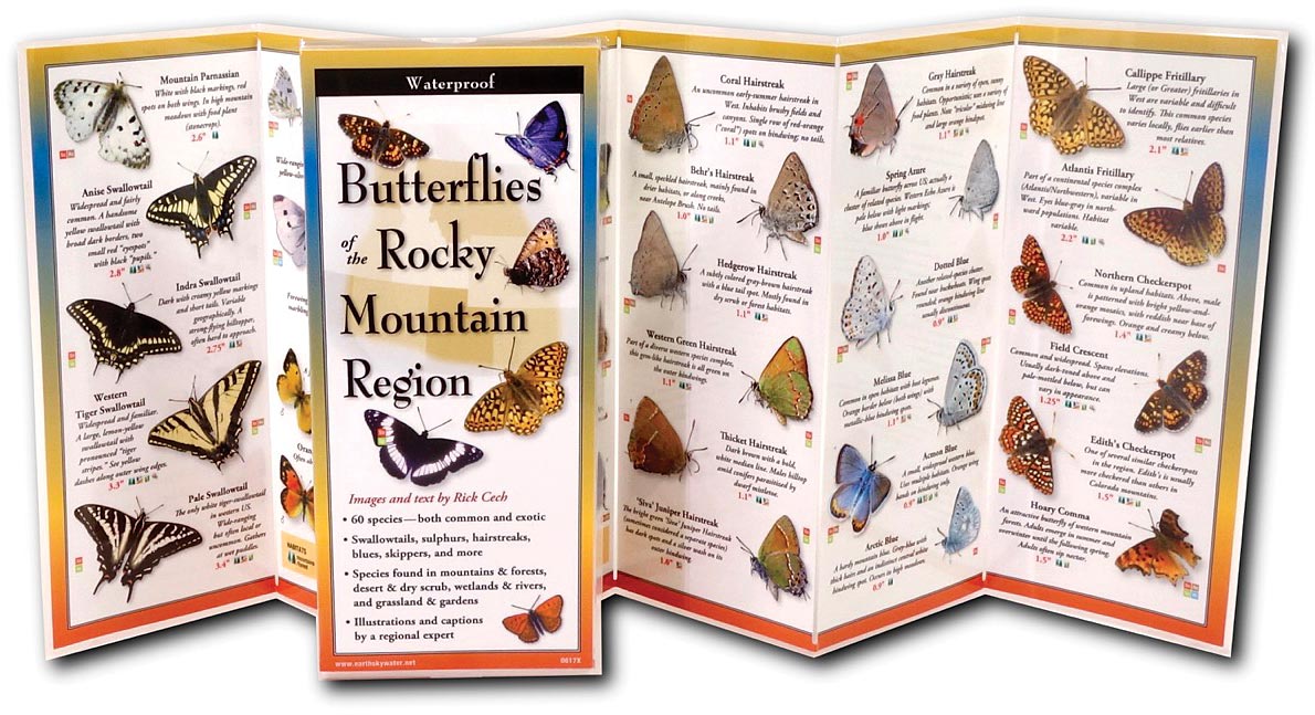 Butterflies Rockies Guide