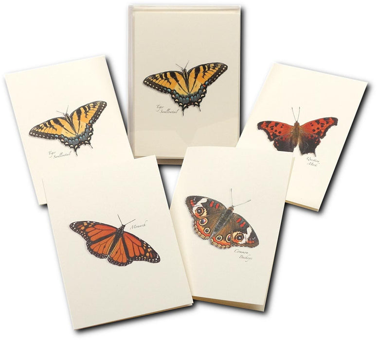 Butterfly Notecards