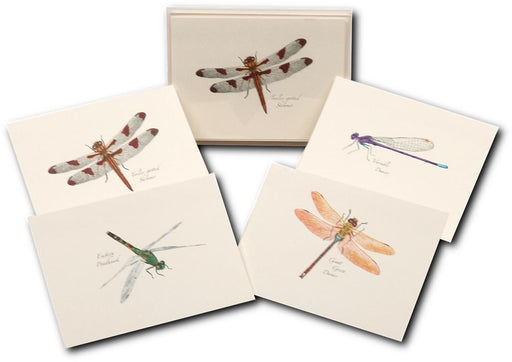 Dragonfly Notecards