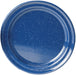 Enamel 10.375" Plate Blue