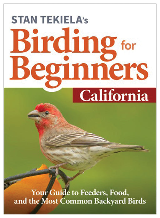 Birding For Beginners: Ca