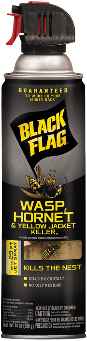 Black Flag Wasp/Hornet Spray