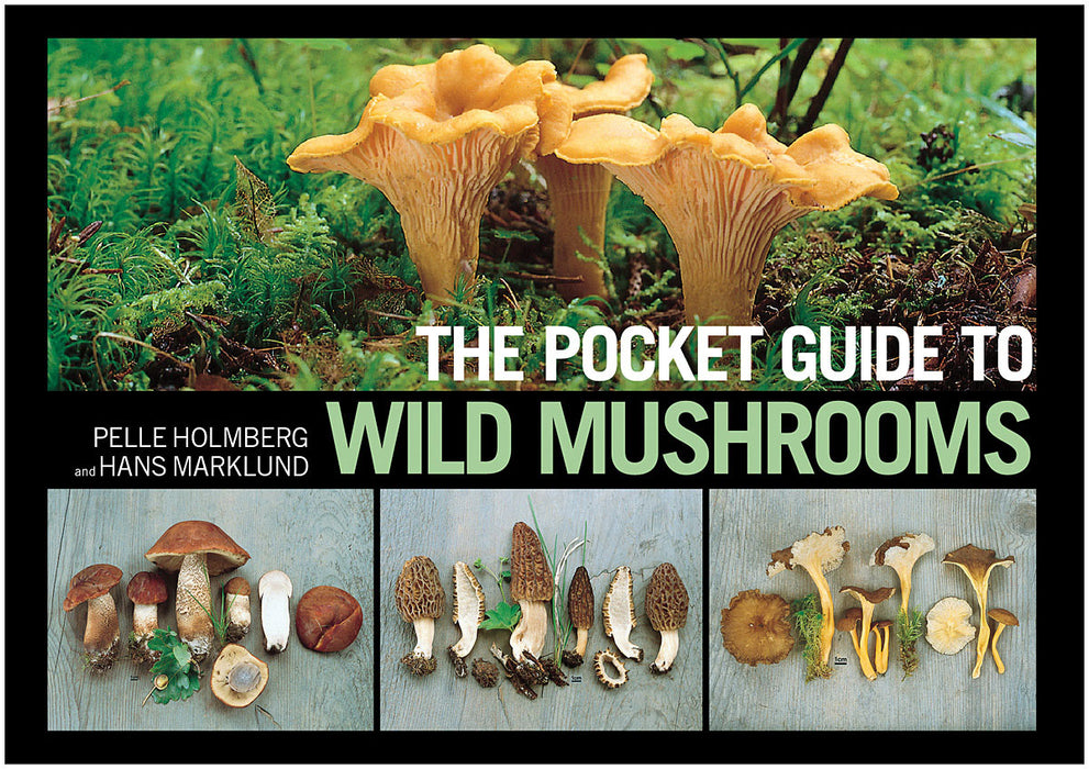 PO Cket Guide To Wild Mushrooms