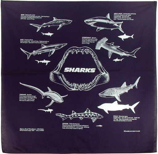 Sharks Bandana