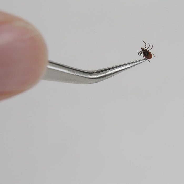 Tick Ease Tick Removal Device