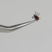 Tick Ease Tick Removal Device