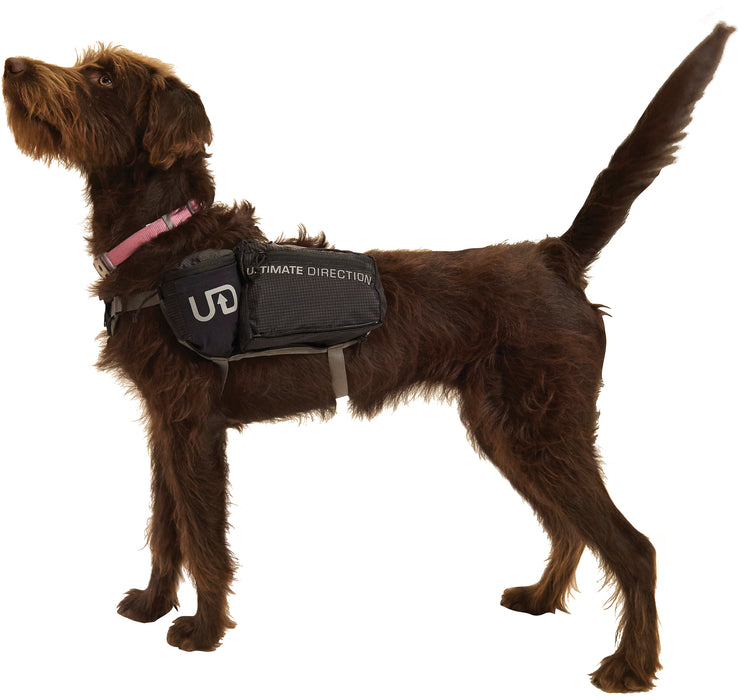 Dog Vest Sm