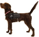 Dog Vest Md