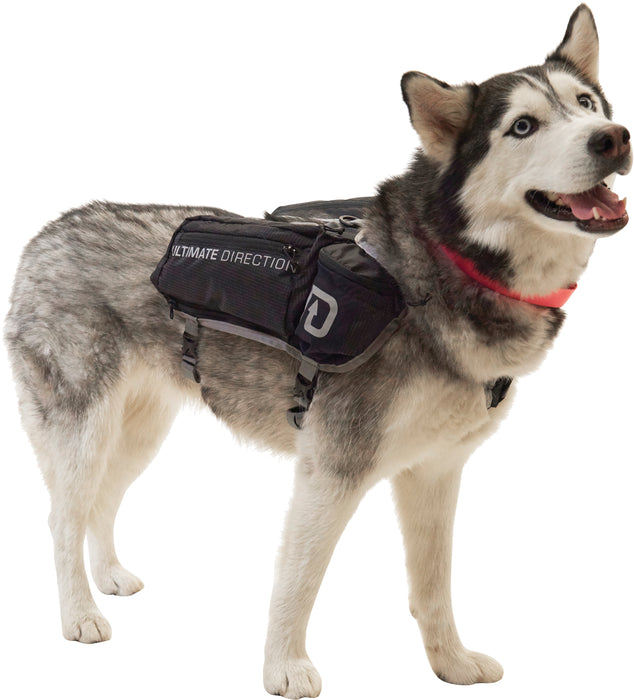 Dog Vest Md