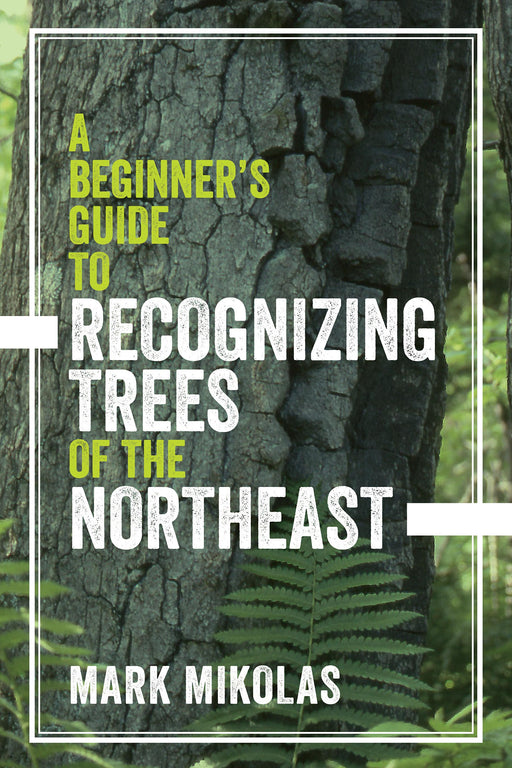 Guide To Trees Northeast