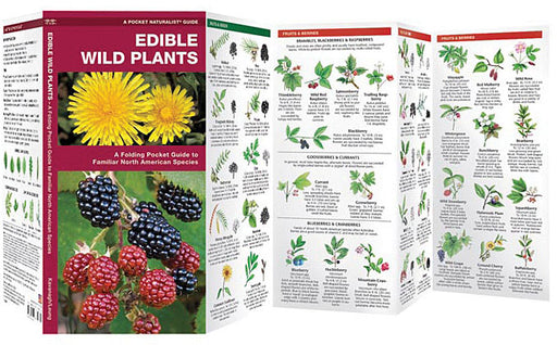 Edible Wild Plants Book