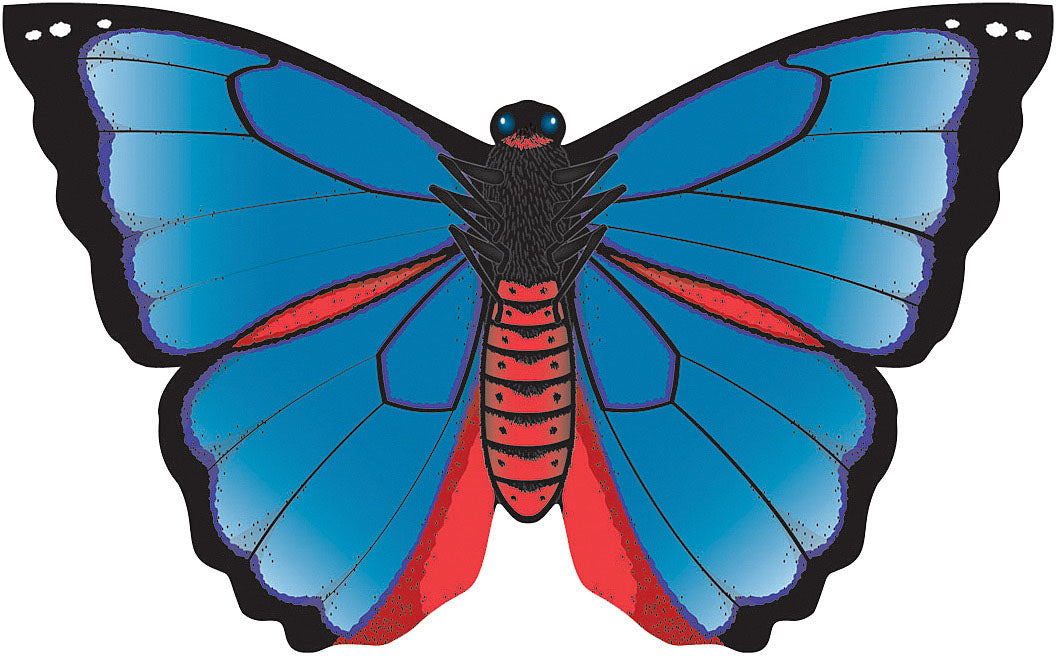 Butterflys   Karner Blue