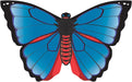 Butterflys   Karner Blue